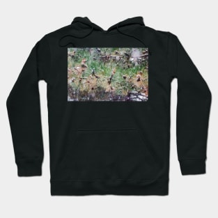 Snow and Pine Cones Hoodie